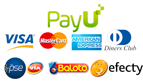 Logo Payu
